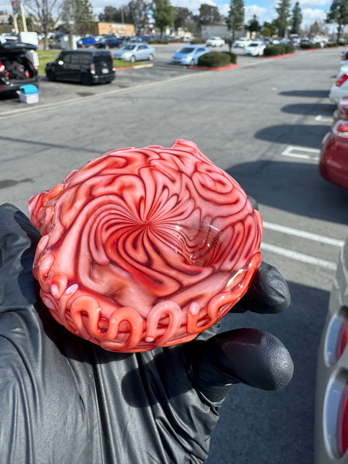 Algae Dry Spoon Brain