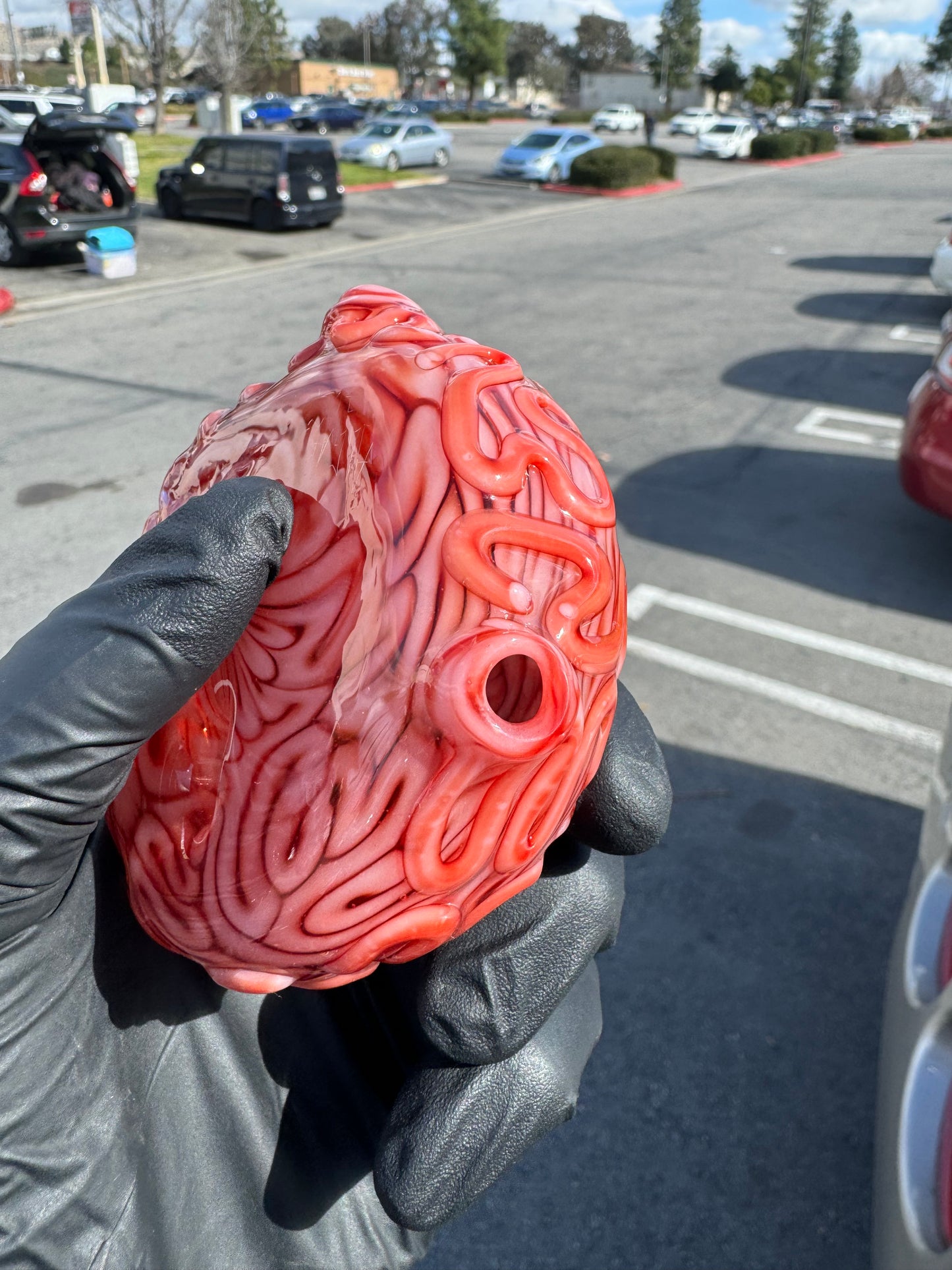 Algae Dry Spoon Brain
