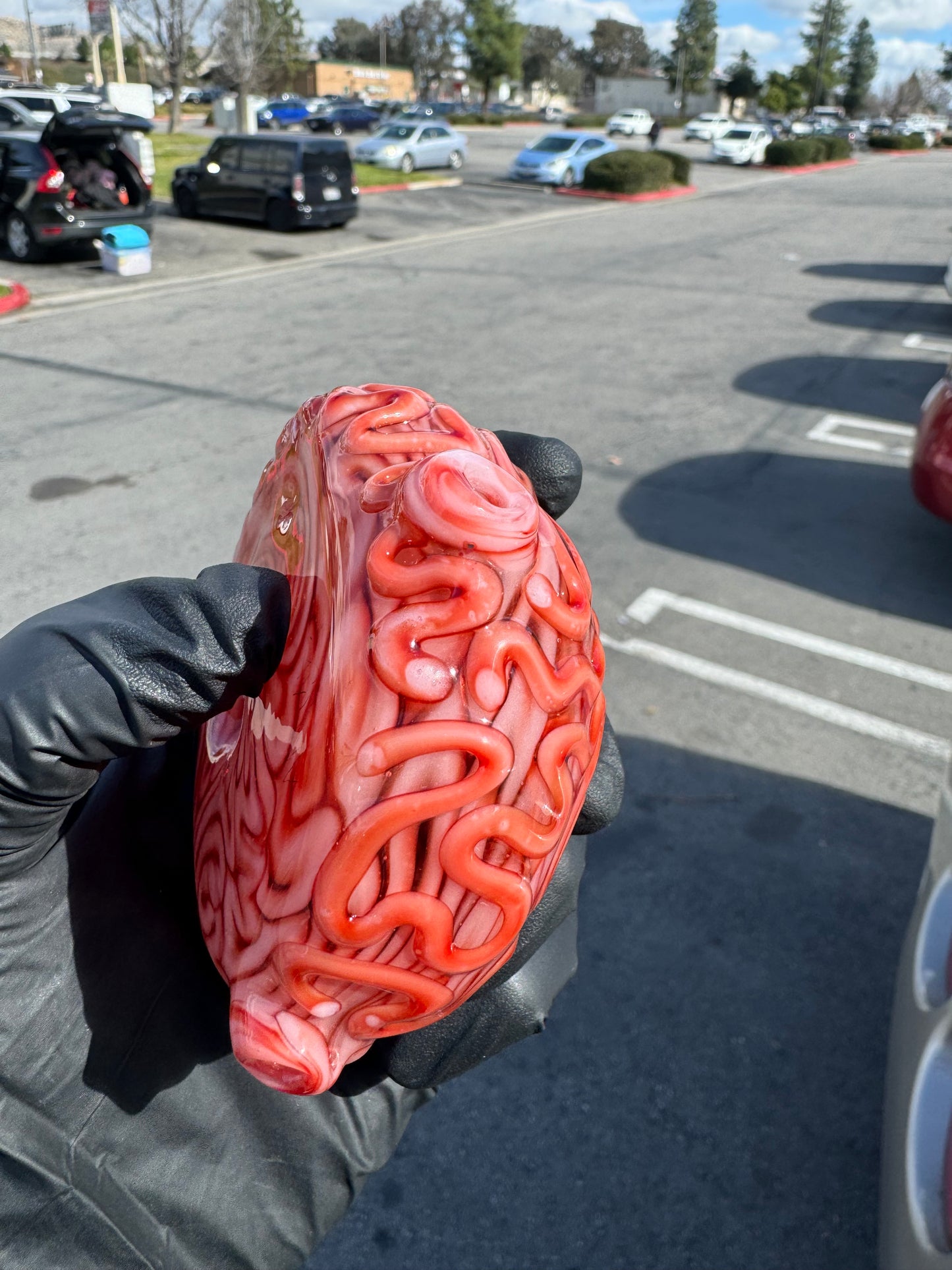 Algae Dry Spoon Brain